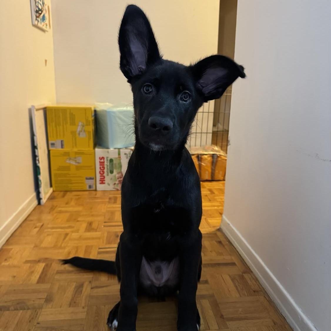 Krypton (20250507-18)