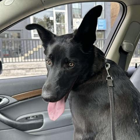 Krypton (20250507-18)