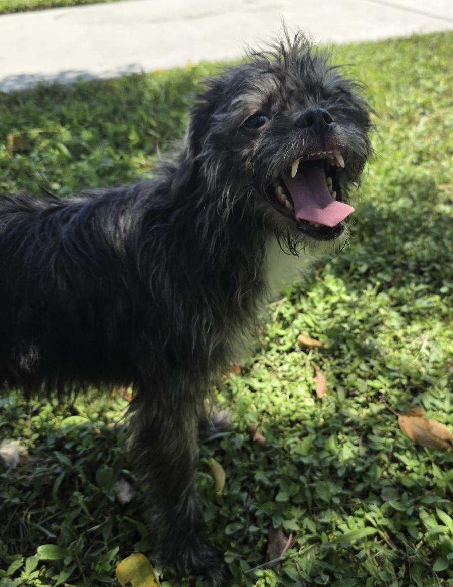 Bella