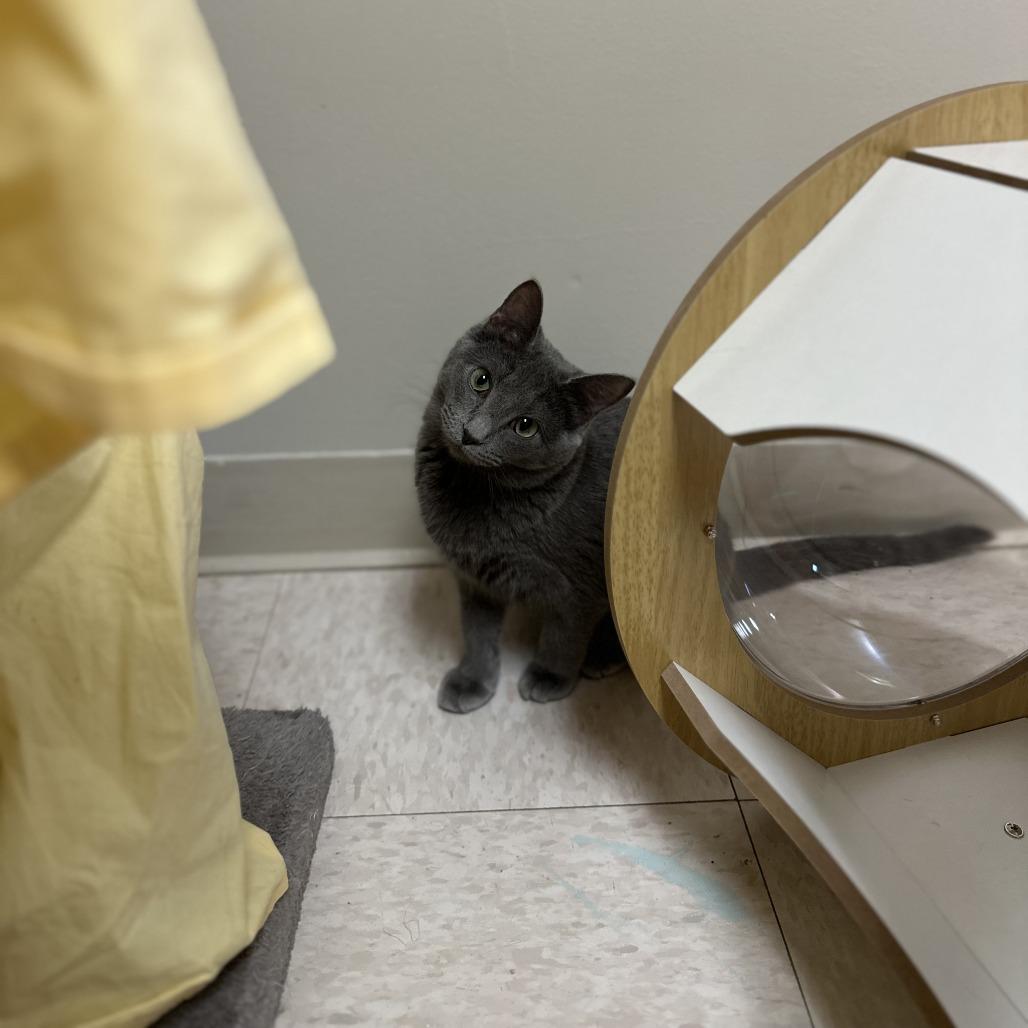 Big Betty — thumbnail 2