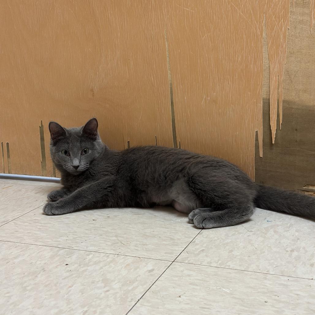 Big Betty — thumbnail 3