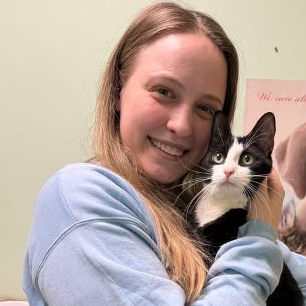 Nancy, ADOPTABLE, Young Female Tuxedo.