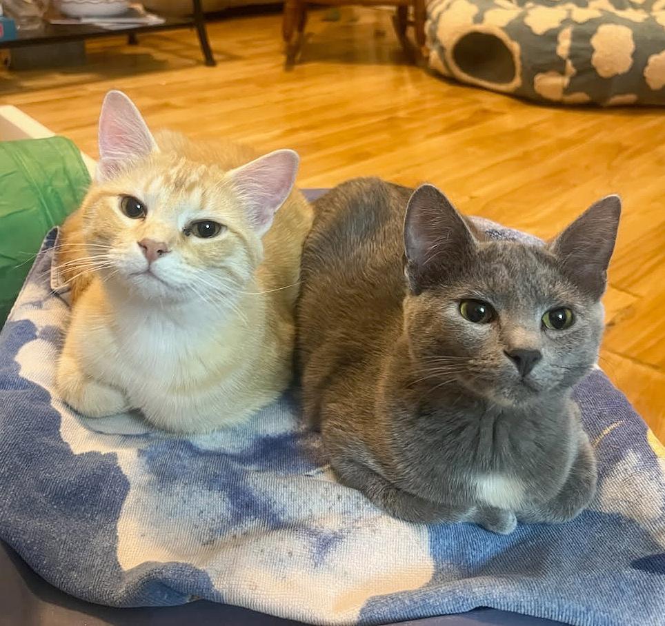 Betty Jo & Billie Jo