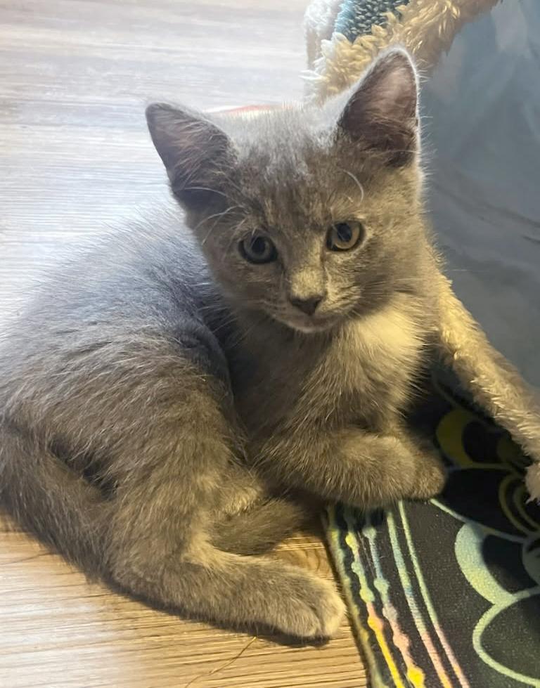 Betty Jo & Billie Jo — thumbnail 2