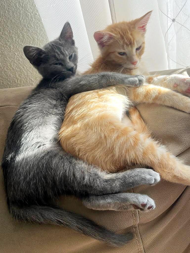 Betty Jo & Billie Jo — thumbnail 5