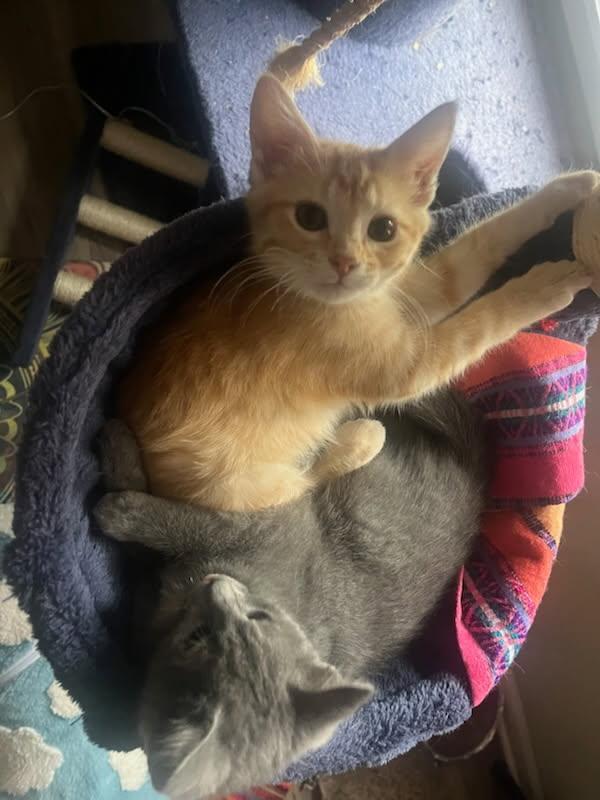 Betty Jo & Billie Jo — thumbnail 6