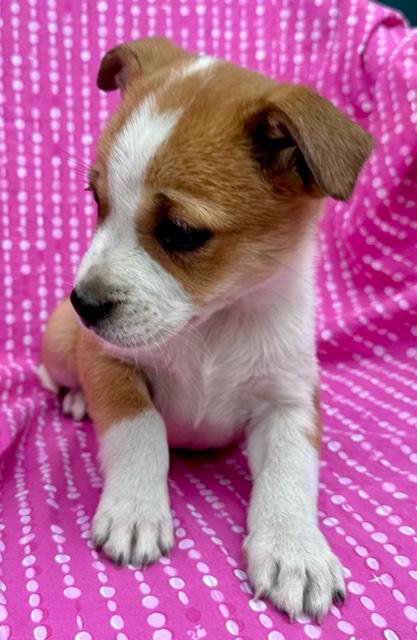 Lily Flora — thumbnail 2