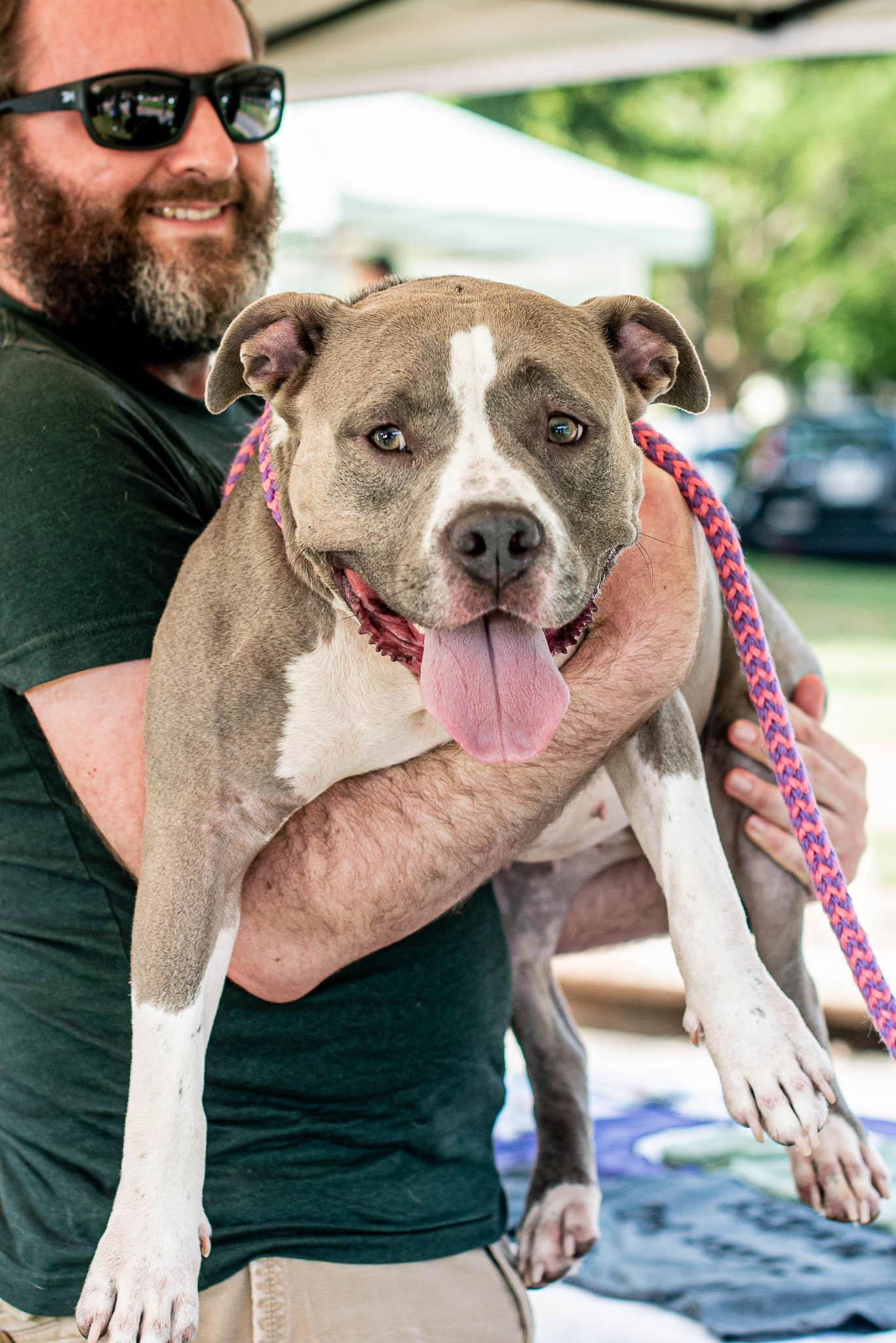 Meeko, a Adoptable mixed breed in Athens, GA image 4/6