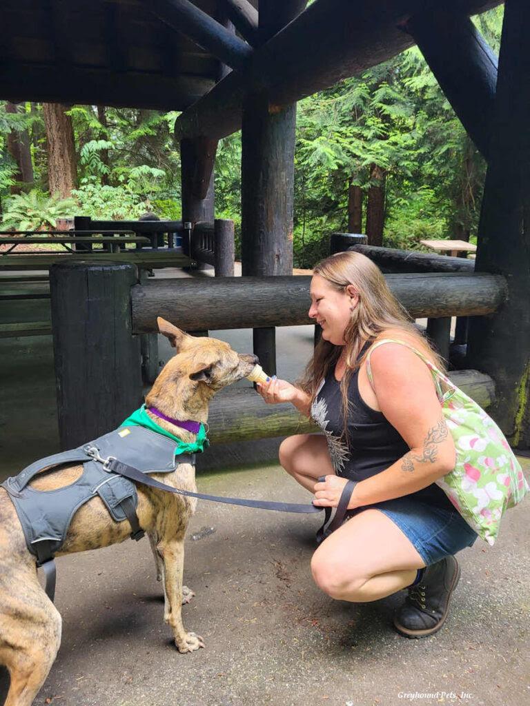 Rey  Super Smart thumbnail 2