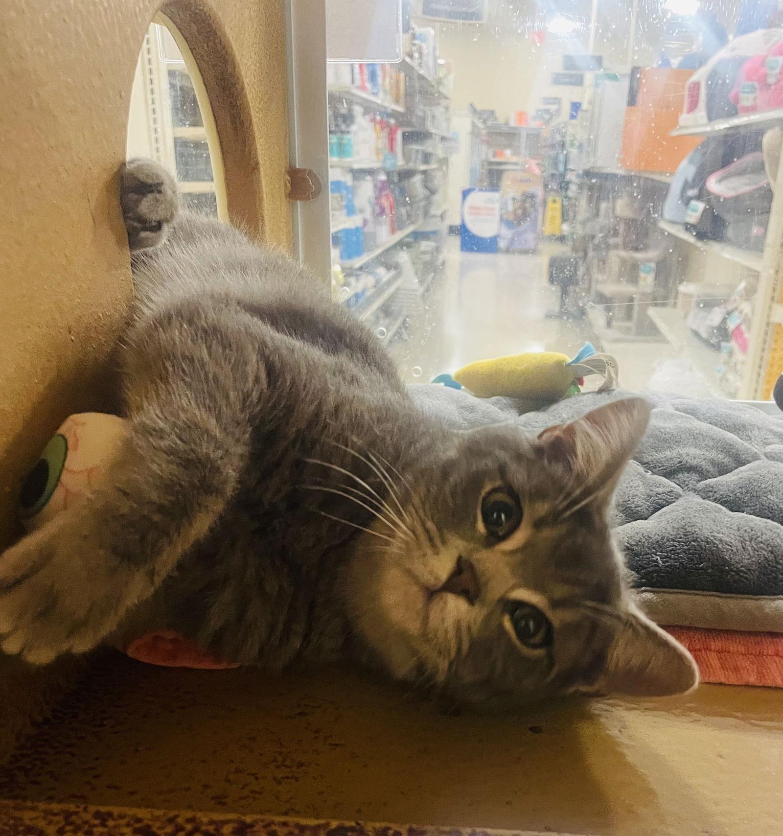 Buster 9.15.25 — thumbnail 3