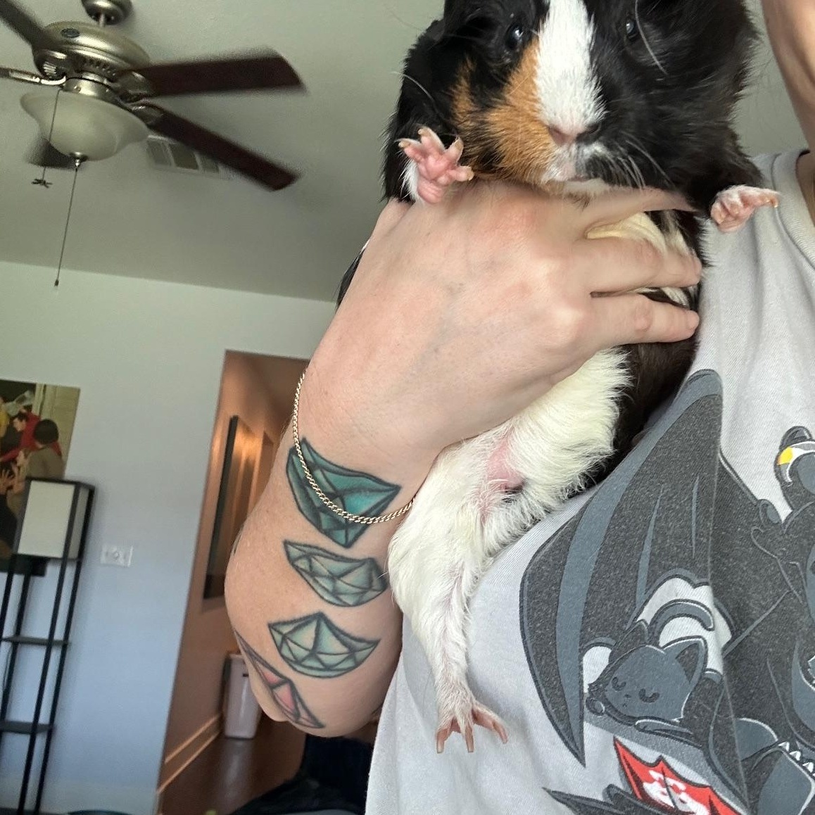 Wiley & Lilly photo 6