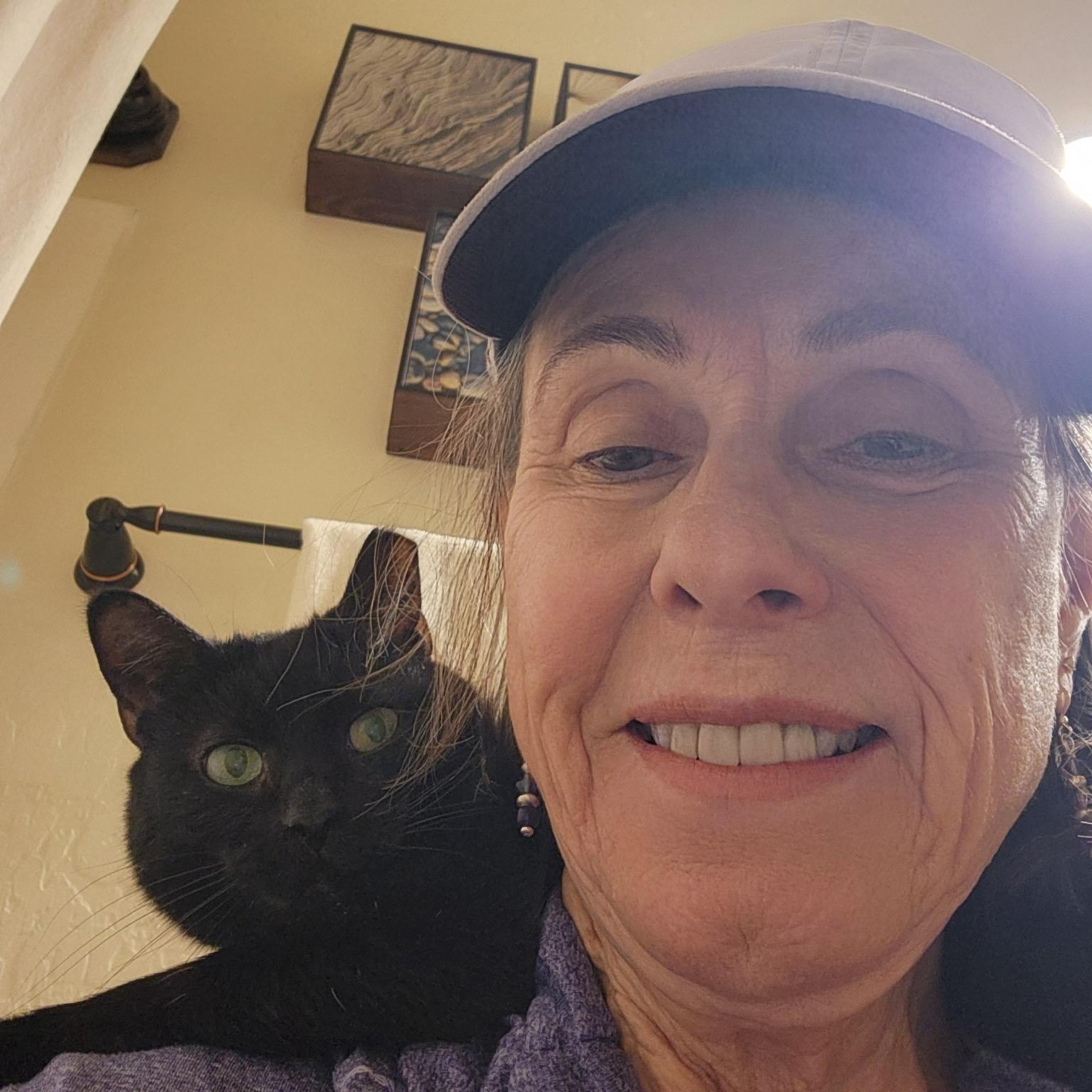 Baby Spice, a ADOPTABLE Domestic Short Hair in Phoenix, AZ image 2/3