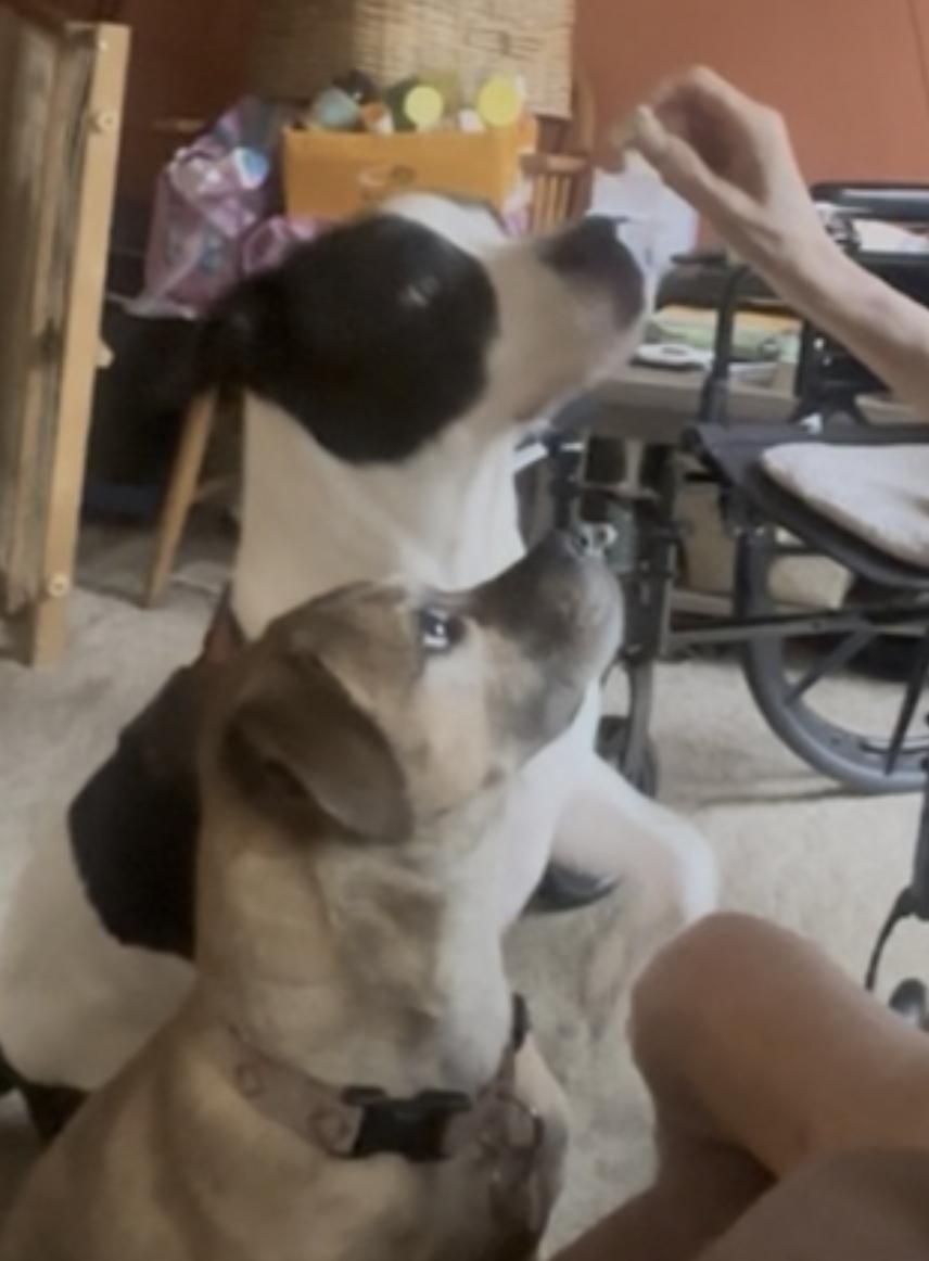 Kalle and Maya — thumbnail 5