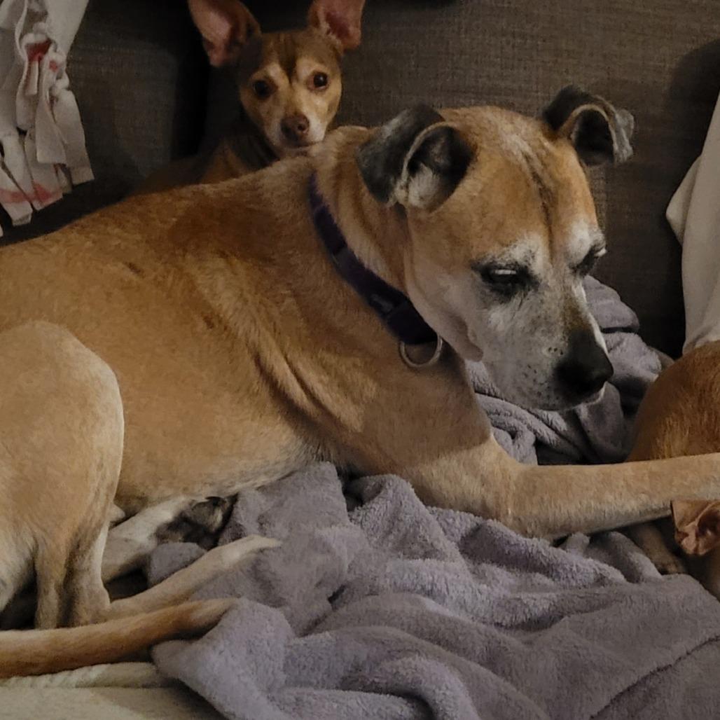 Tanner — thumbnail 6