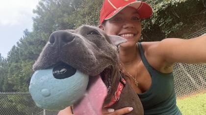 Calipso, a Adoptable Mixed Breed in Athens, GA image 2/6