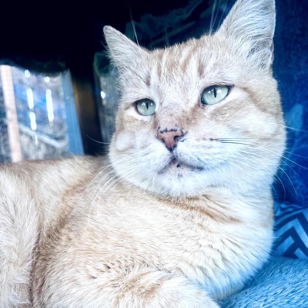 CHUCK — thumbnail 2