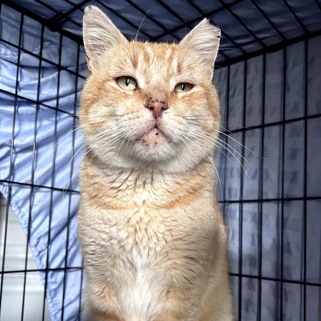 CHUCK — thumbnail 3