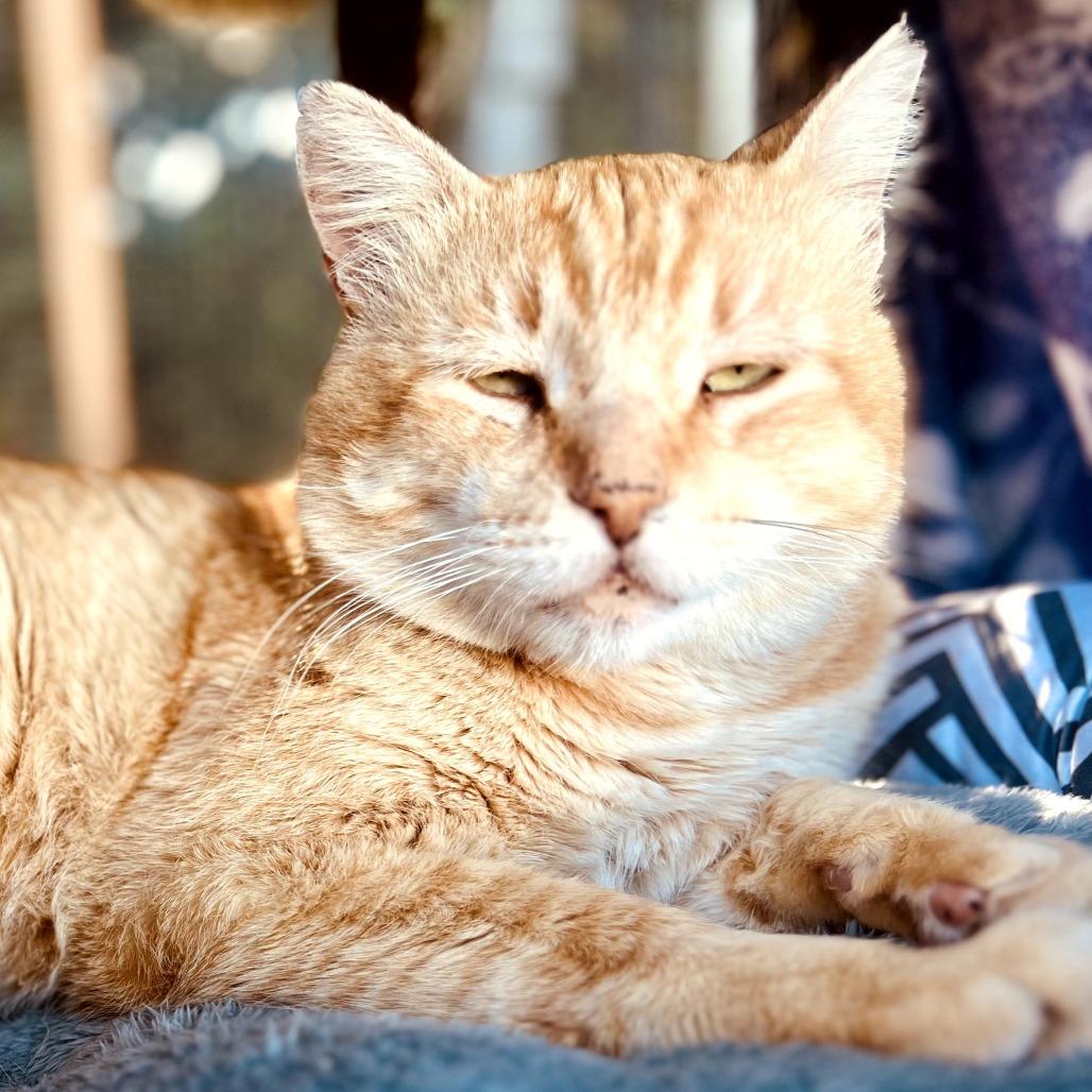 CHUCK — thumbnail 5