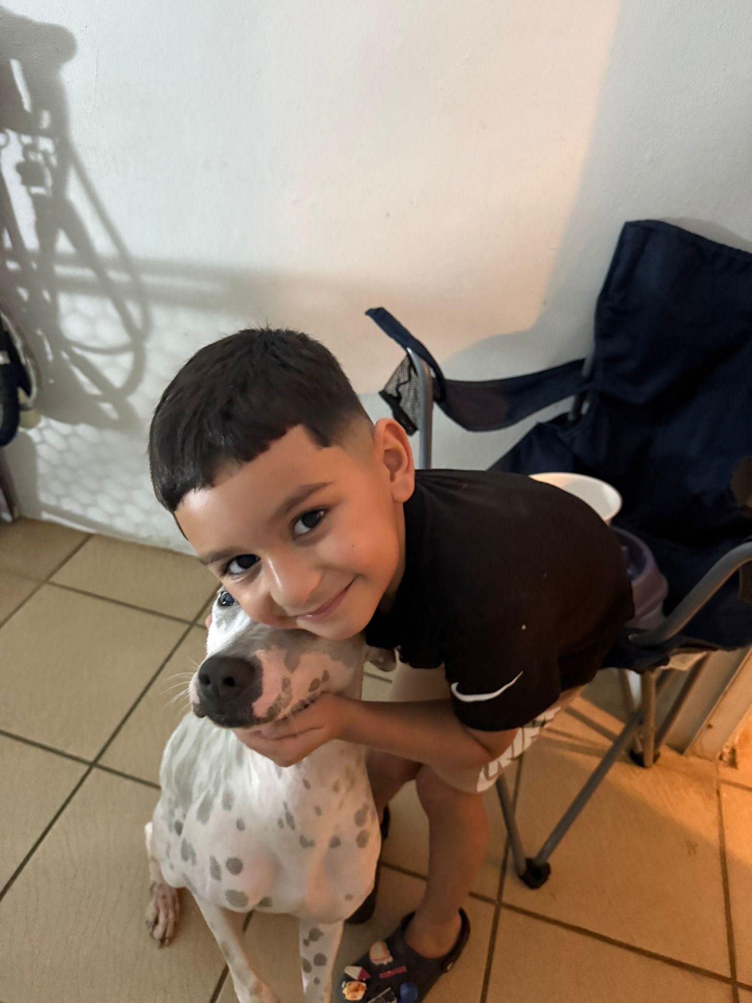 PETEY - PERFECT, a Adoptable mixed breed in Baltimore, MD image 3/6