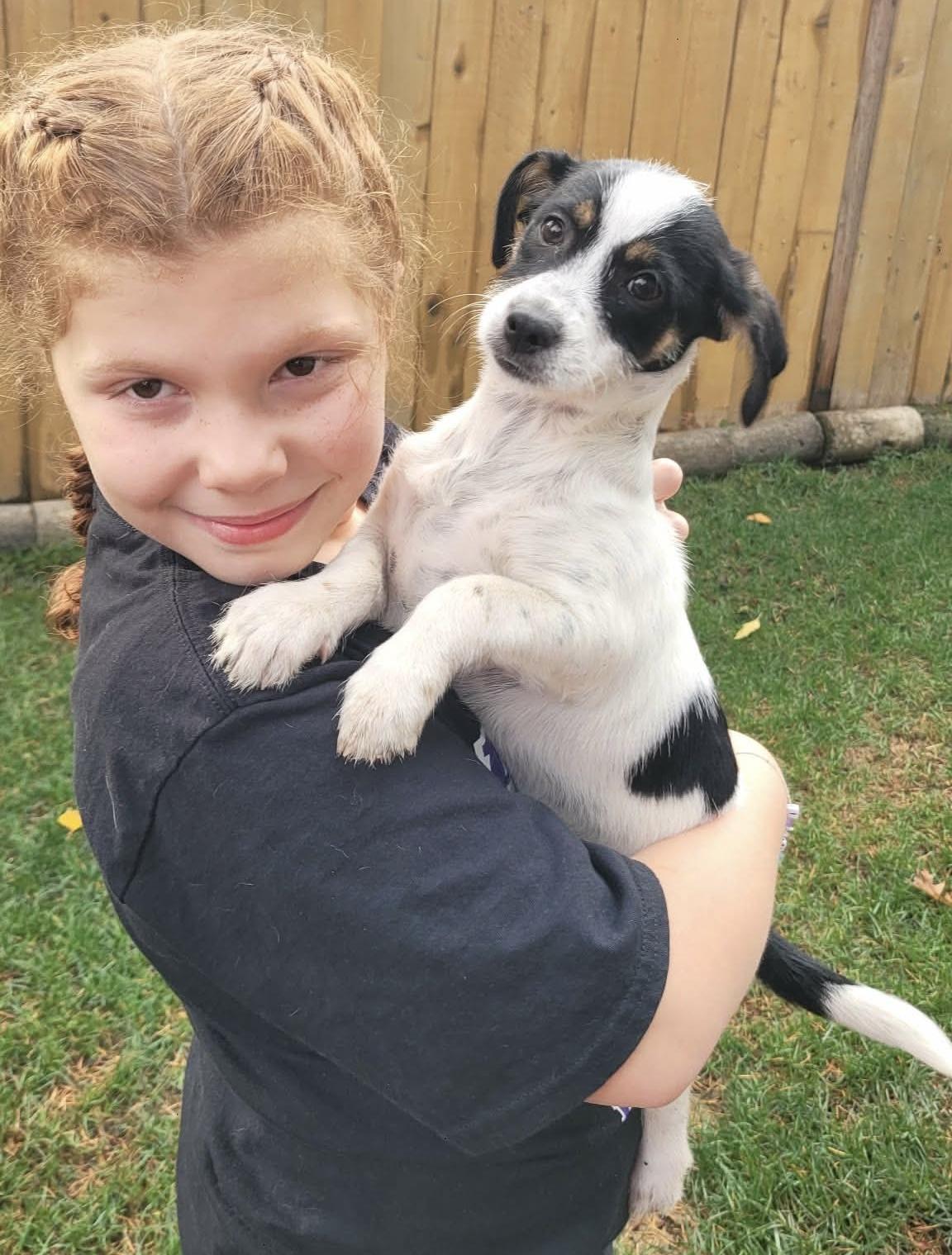 Enlarge Eclair, a Adoptable mixed breed in Beavercreek, OR image 2/6