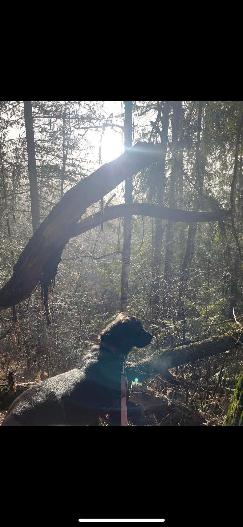 Dottie photo 3