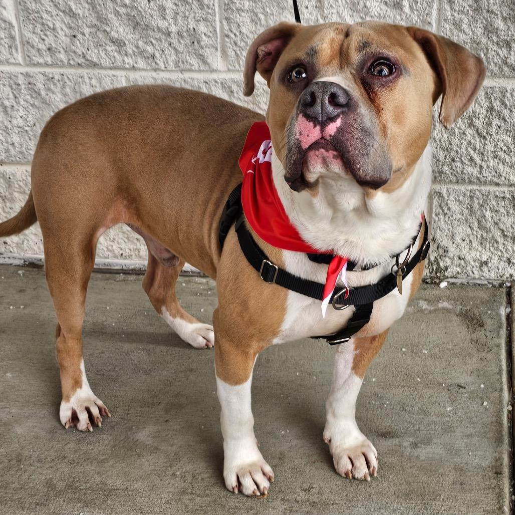 Tank — thumbnail 2