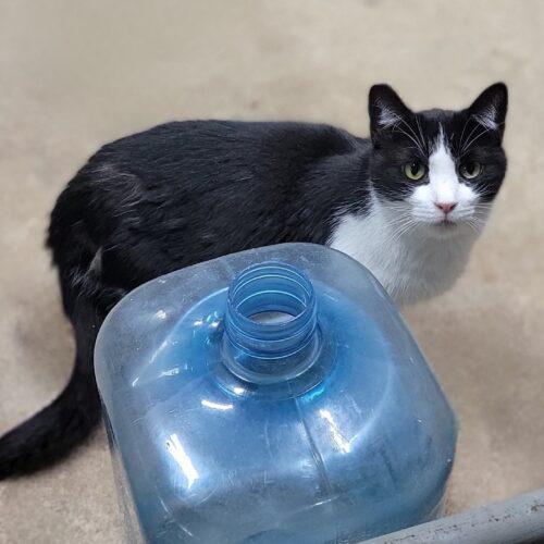 Mika — thumbnail 8