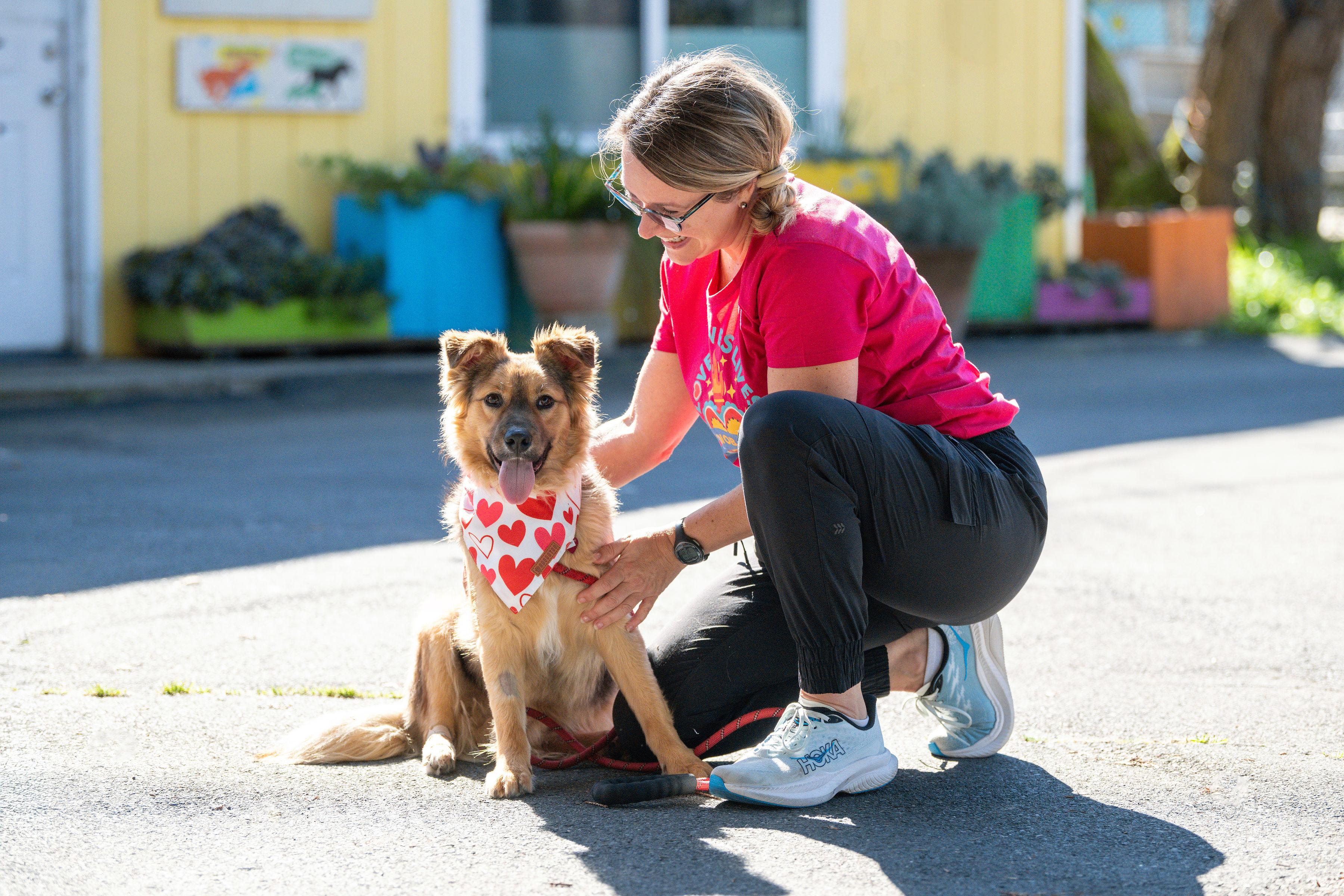 Enlarge Chai, an adopted mixed breed in Santa Rosa, CA image 2/3