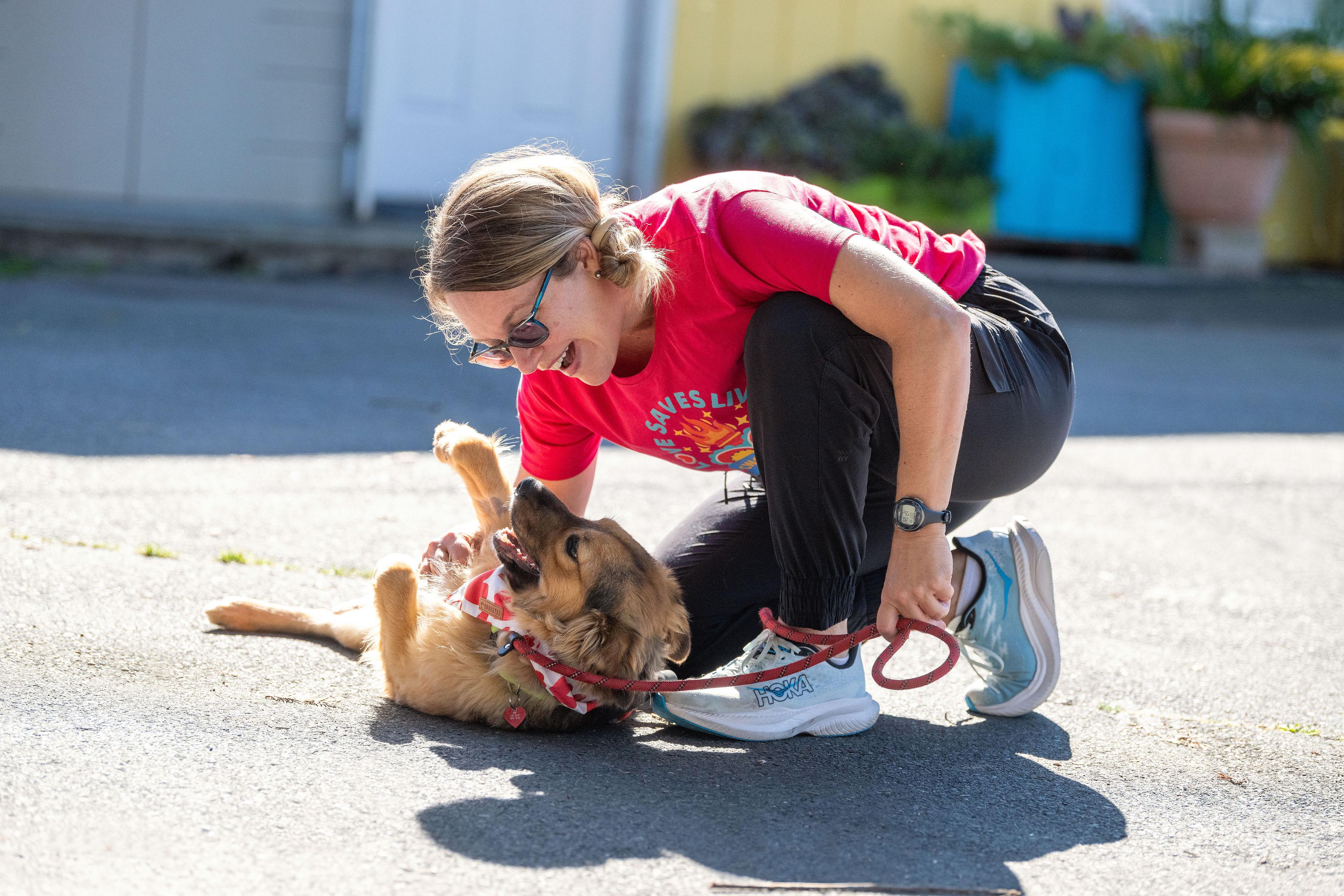 Enlarge Chai, an adopted mixed breed in Santa Rosa, CA image 3/3