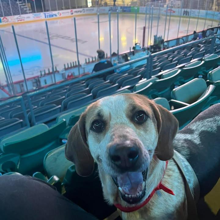 Jennifer — thumbnail 2