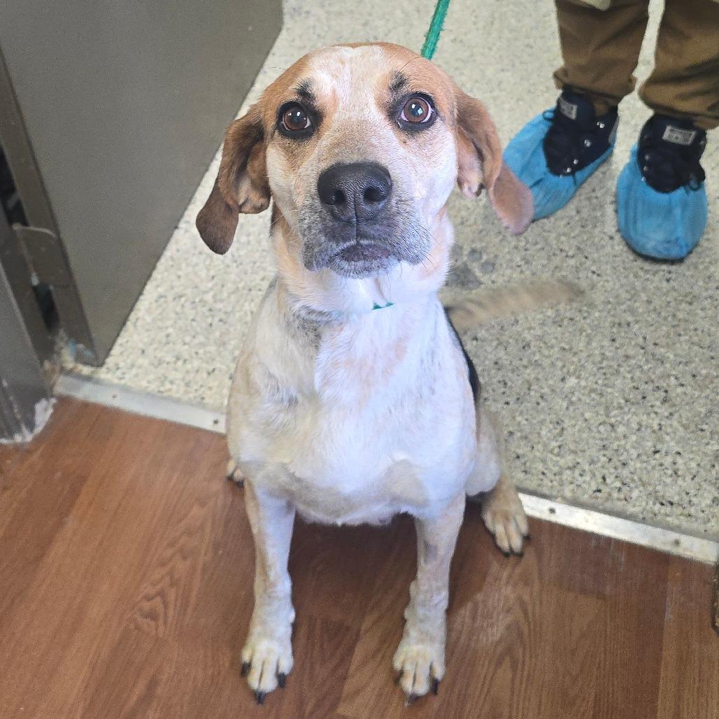 Jennifer — thumbnail 3