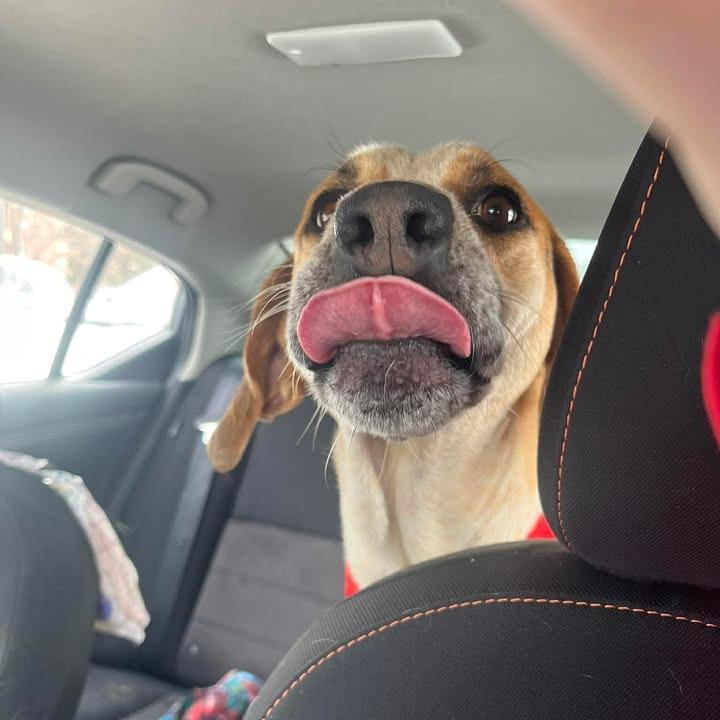 Jennifer — thumbnail 4