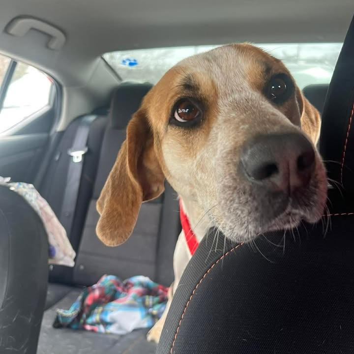 Jennifer — thumbnail 5