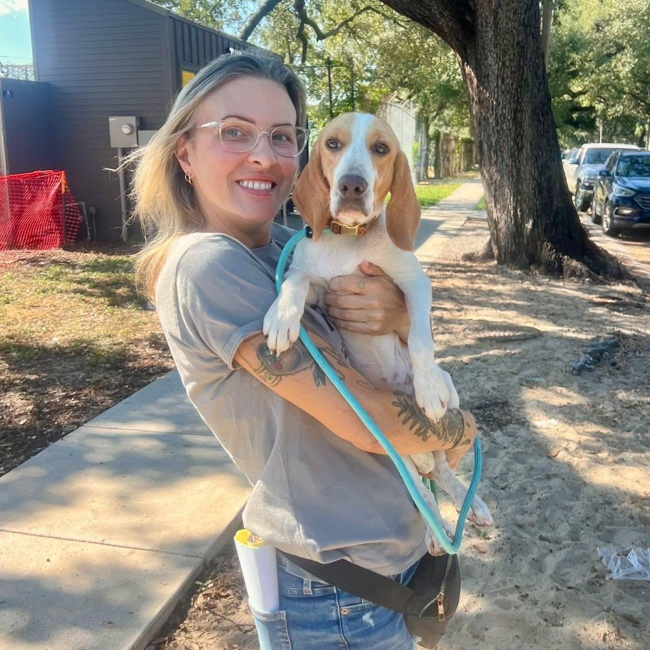 Enlarge Limoncella, a Adoptable Beagle in New Orleans, LA image 4/5
