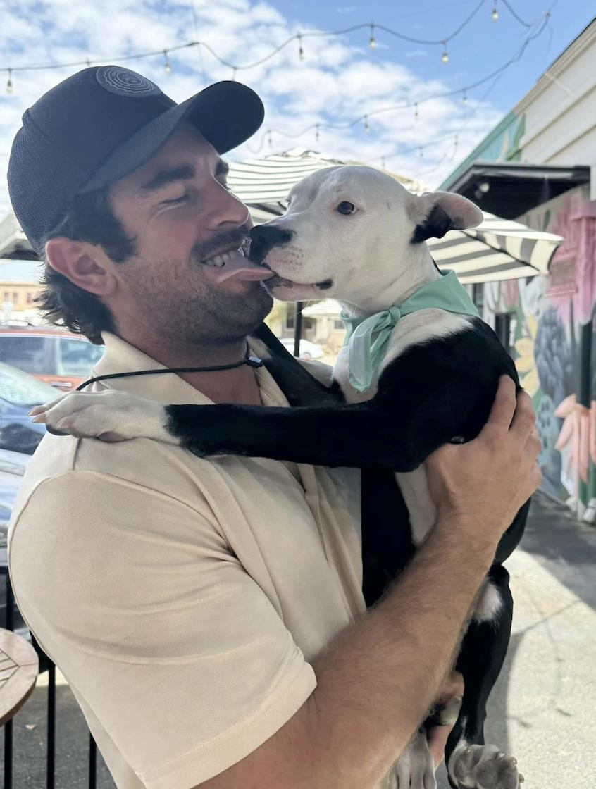 Fuzz Monkey, a Adoptable mixed breed in San Francisco, CA image 2/6