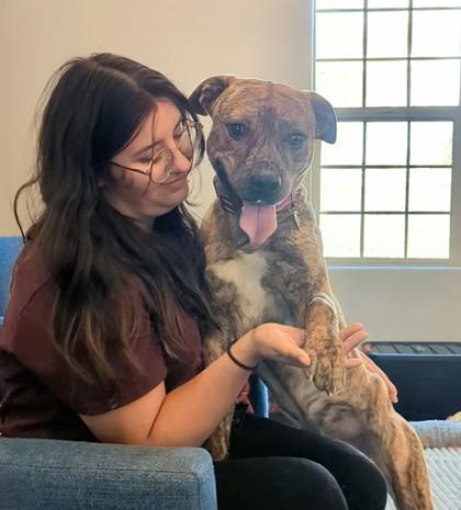 Enlarge Sid, a Adoptable mixed breed in Portola, CA image 2/3