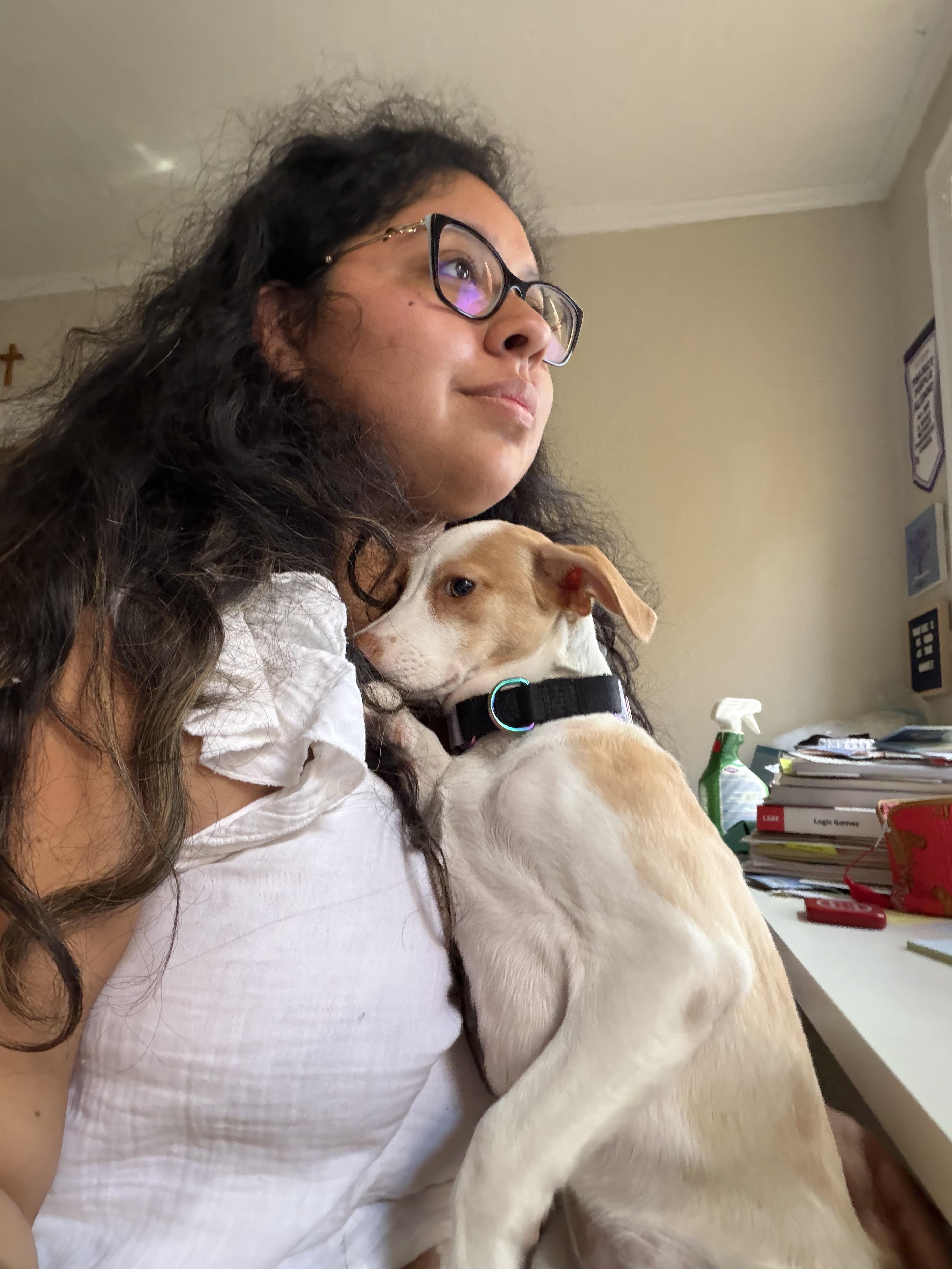 Tulip, a Adoptable mixed breed in Madison, CT image 5/5