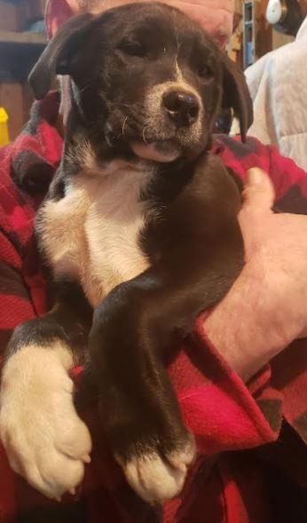 Michael — thumbnail 3