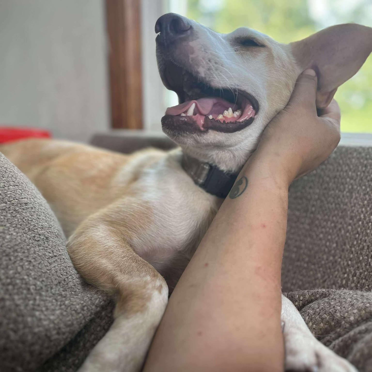 Vivian — thumbnail 5