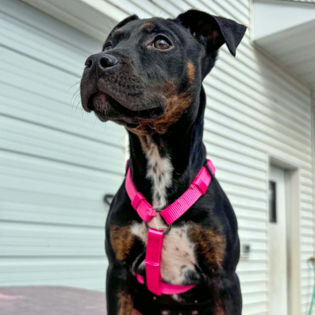 Tessa Lynn — thumbnail 2