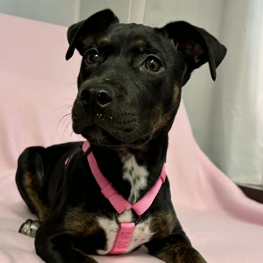 Tessa Lynn — thumbnail 3