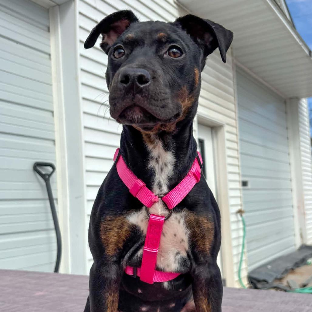 Tessa Lynn — thumbnail 4