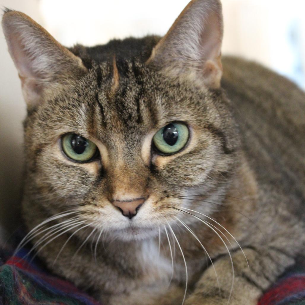 Cleo — thumbnail 2