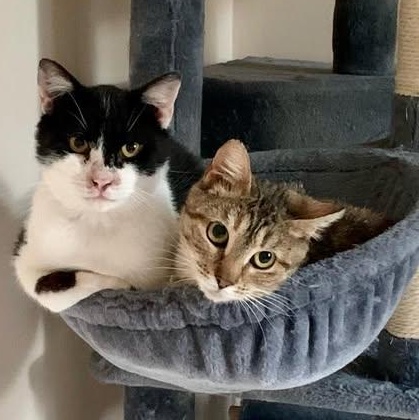 Unicorn and Chipper--BONDED MOM AND SON