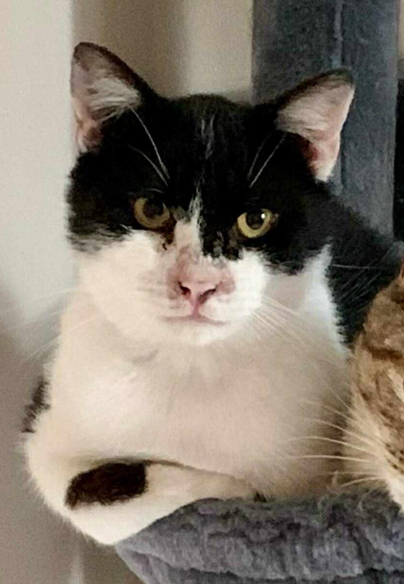 Unicorn and Chipper--BONDED MOM AND SON