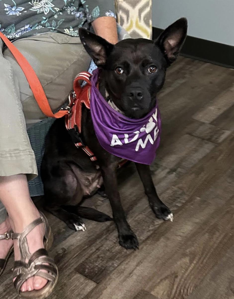 Priscilla thumbnail 2