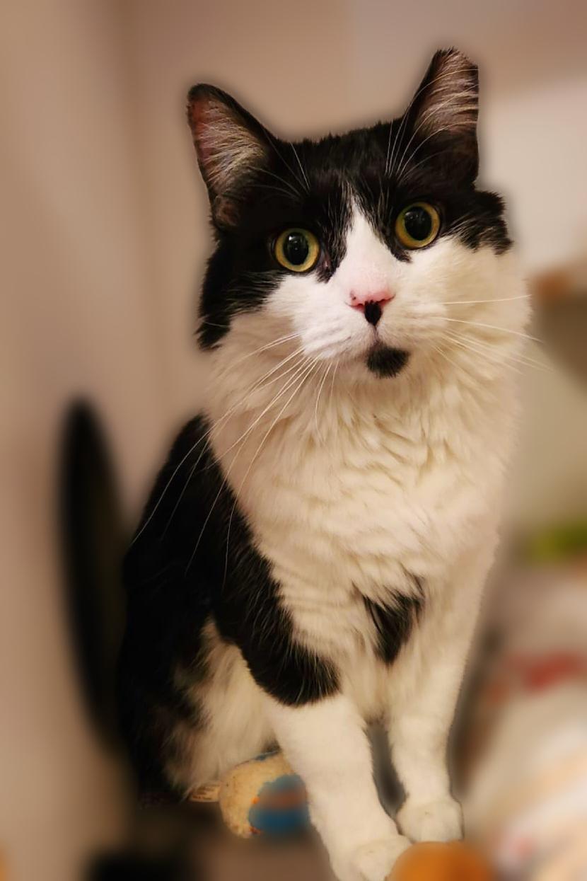 Sabrina