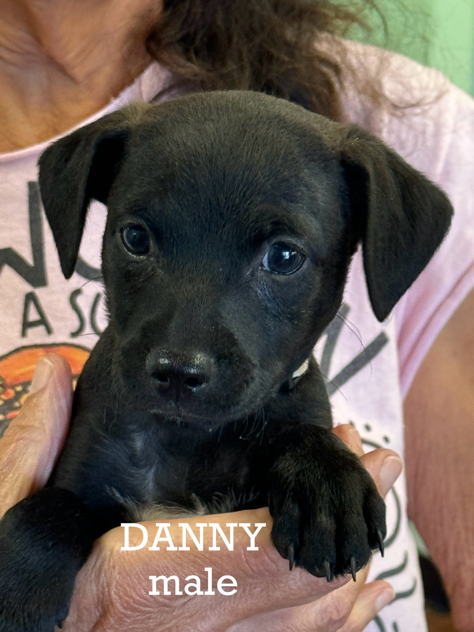 Danny 3