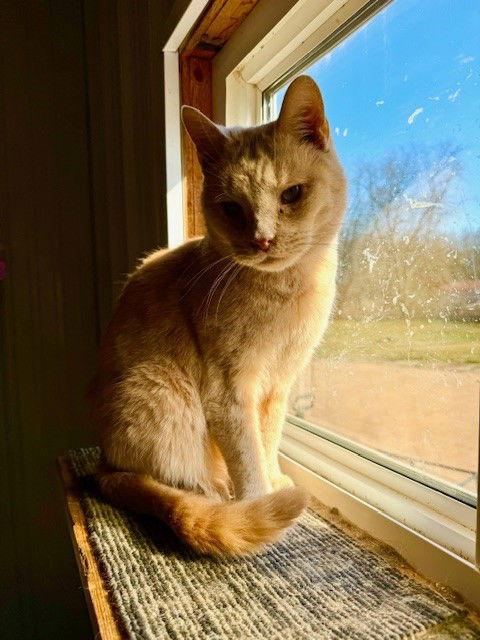 Buffy #1 (Jerard) — thumbnail 3