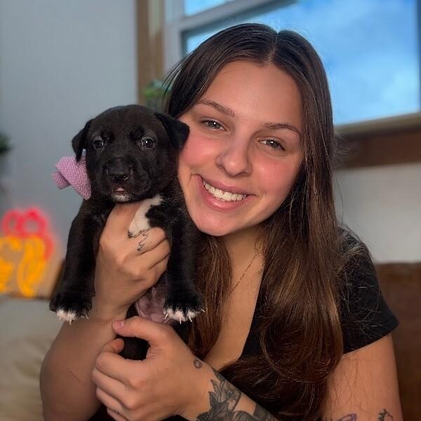 Sydney Bridge — thumbnail 3